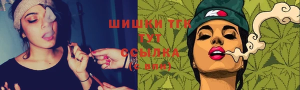 молекула духа Верхний Тагил