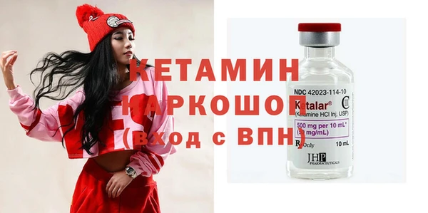 индика Бронницы