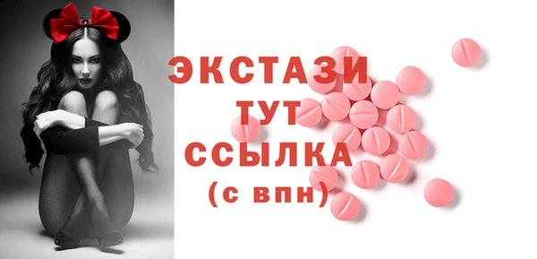 индика Бронницы