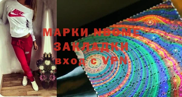 индика Бронницы