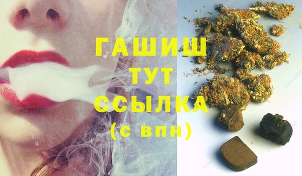 индика Бронницы