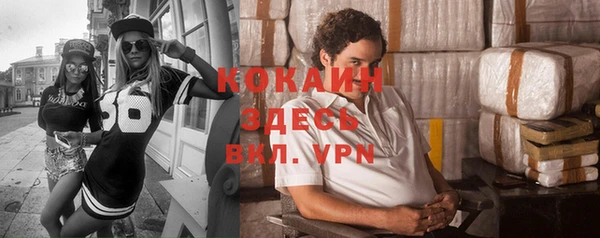индика Бронницы
