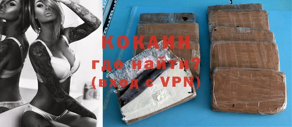 индика Бронницы