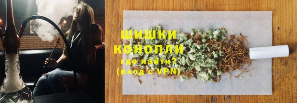 индика Бронницы